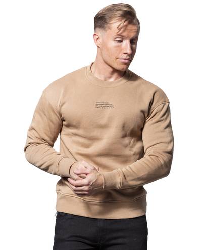 Globe Sweat Crew Tannin Jack & Jones